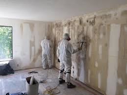 Best Mold Documentation for Insurance Claims  in Bothell, WA